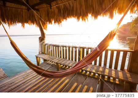 Hammock 37775835