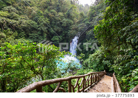 Waterfall in Costa Rica Waterfall in Costa Rica 37775893