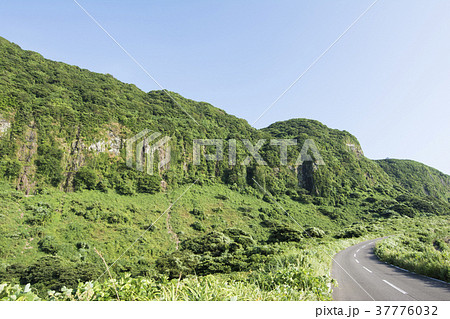 長崎 長崎 37776032