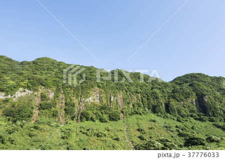長崎 長崎 37776033