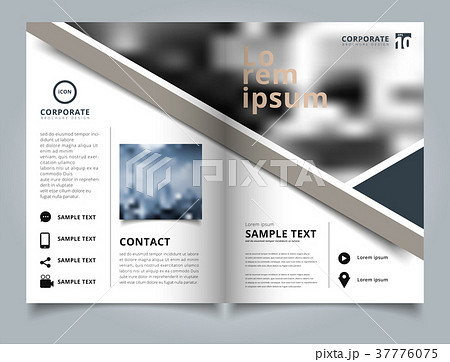 Brochure geometric layout design template, Annual Brochure geometric layout design template, Annual 37776075