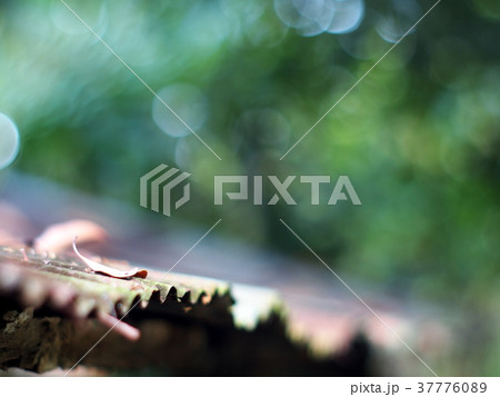 old aged weathered rusty galvanized corrugate iron old aged weathered rusty galvanized corrugate iron 37776089
