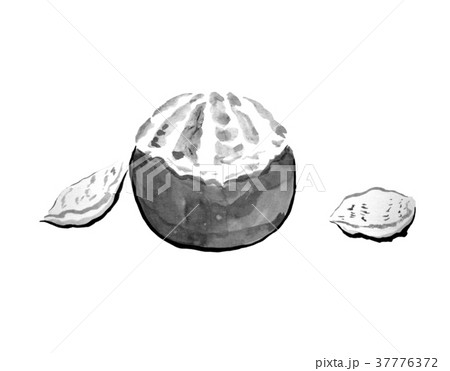八朔 むく 水墨画 イラストのイラスト素材