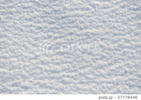 snow for texture or background at sunny day 37776446