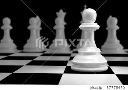 Close up of White Chess on Chessboard 37776470