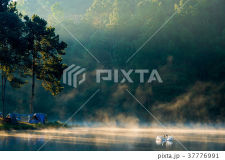 Morning at Pang Ung lake, Pang Ung Mae Hong Son province 37776991