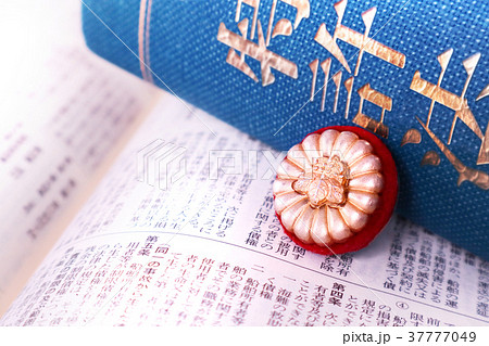 弁理士 37777049