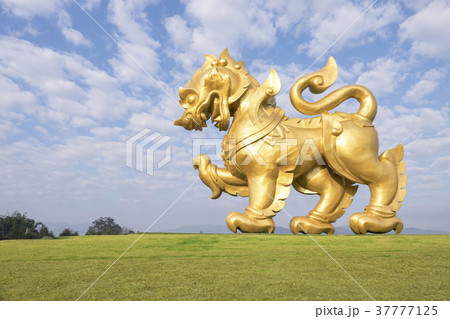 The golden lion statue  37777125