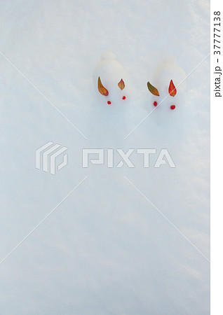 雪うさぎ 雪うさぎ 37777138