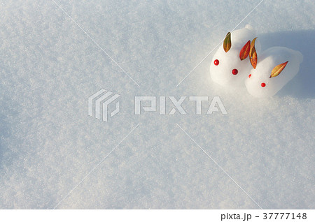 雪うさぎ 37777148