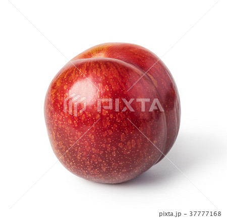 plum fruit 37777168