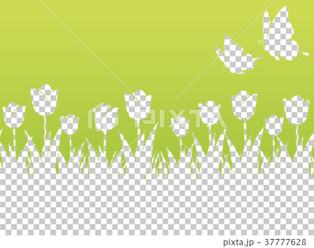 Seamless tulip and butterfly background illustration Seamless tulip and butterfly background illustration 37777628