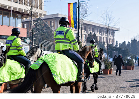 Local police in green uniform on horses patrolling 37778029