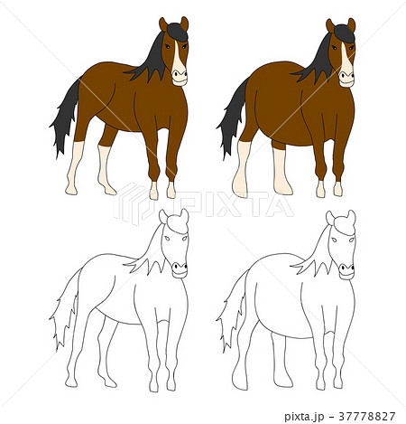 Brown Horse Cartoon. Vector Illustration. 37778827