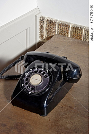 文化のみち橦木館の景色 文化のみち橦木館の景色 37779046