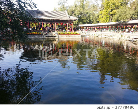 中国 チャイナ 磁器 37779490