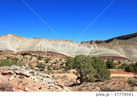 The Waterpocket Fold in Capitol Reef National Park 37779561