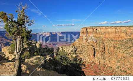 Panoramic view of Grand Canyon, USA 37779632