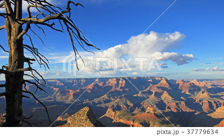Panoramic view of Grand Canyon, USA 37779634