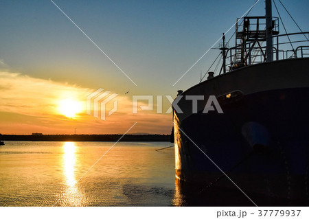 北陸の漁港　夕暮れ 37779937