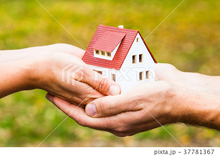 Home for you 37781367