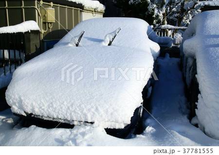 記録的な大雪 37781555