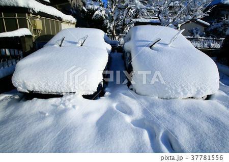 記録的な大雪 37781556