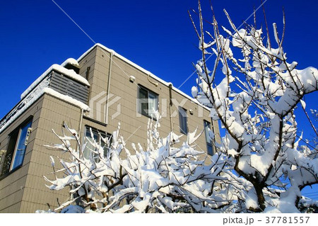 記録的な大雪 37781557