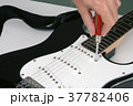 Luthier adjusting pickup of electric guitar Luthier adjusting pickup of electric guitar 37782406