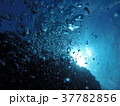 沖縄の海で 37782856