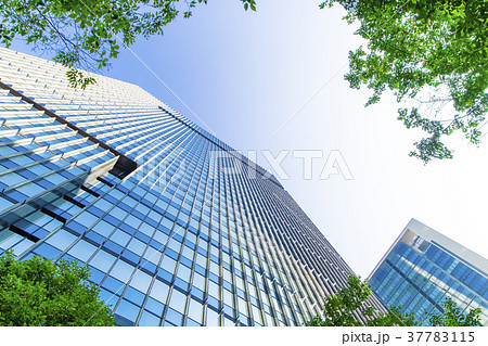 オフィス街の高層ビルと緑 オフィス街の高層ビルと緑 37783115