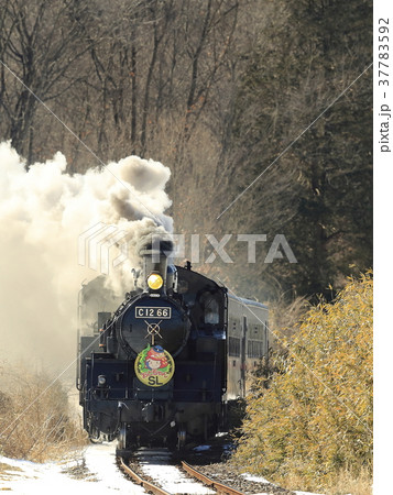 冬の真岡鉄道SL 冬の真岡鉄道SL 37783592