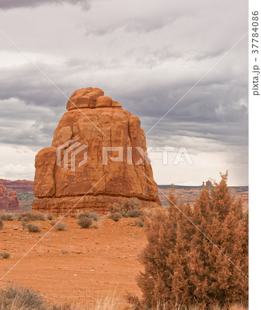The Rocks of the Arches national Park The Rocks of the Arches national Park 37784086