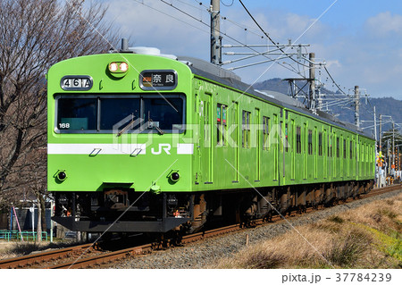 鉄道　列車　奈良線　藤森　桃山　103系　4両編成　みやこ路快速　冬　うぐいす　ウグイス　JR西日本 37784239