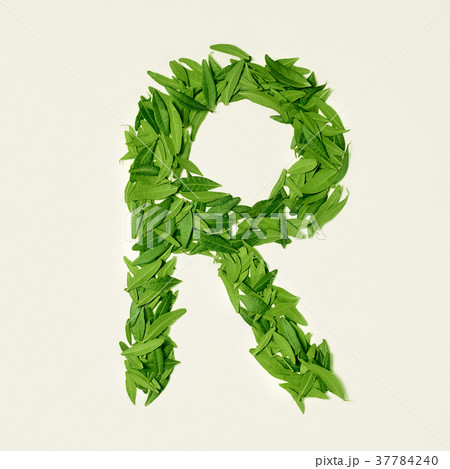 The green dry tea leaf, letter R on white The green dry tea leaf, letter R on white 37784240