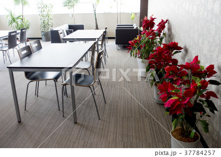 木目調のインテリアがシックな打合せ室コーナーにアクセントの花 37784257