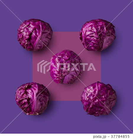 Red cabbage isolated on purple background 37784855