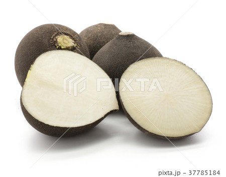 Black radish isolated on white 37785184
