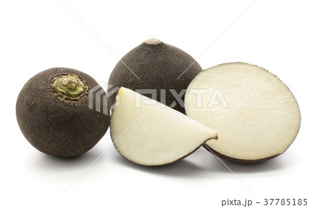 Black radish isolated on white 37785185