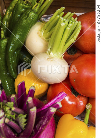 カブラと旬な野菜 37785204