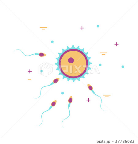 human cell ovum and sperm 37786032