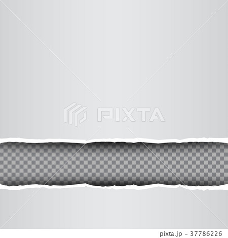 white torn paper transparent background 37786226