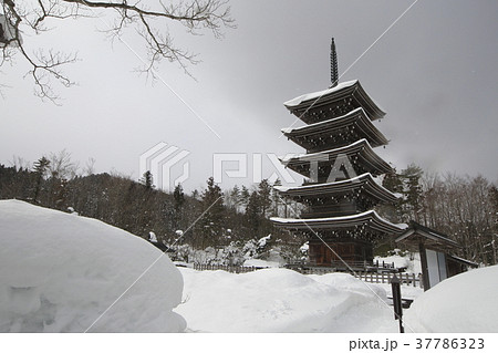 定義山 五重塔 2018年1月29日 定義山 五重塔 2018年1月29日 37786323