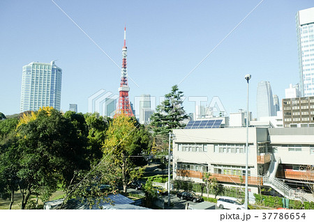 東京タワー 37786654