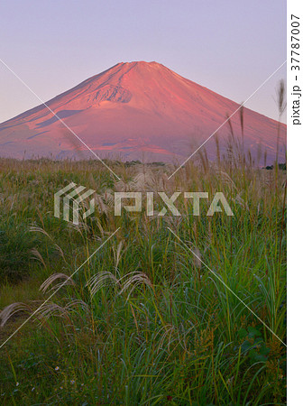 須山からの秋の風景-4688 須山からの秋の風景-4688 37787007