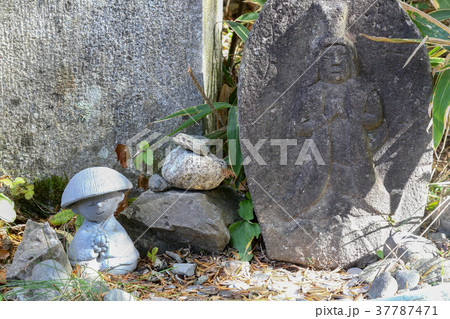 分杭峠　秋　長野県 37787471