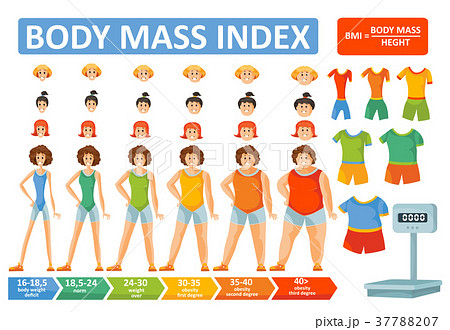 Body Mass Index Woman Bmi Formula Vector Flatのイラスト素材