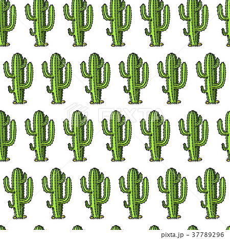 cactus seamless pattern. succulent or tropical 37789296