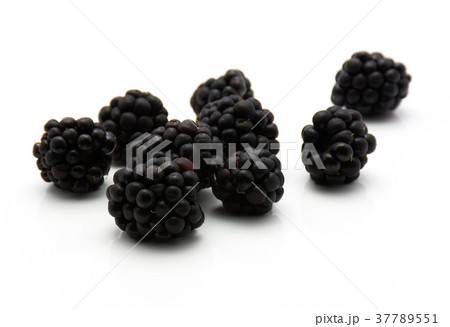 Blackberry isolated on white 37789551