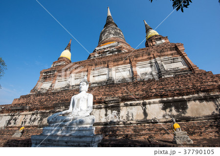 タイ アユタヤ ワット・ヤイ・チャイ・モンコン タイ アユタヤ ワット・ヤイ・チャイ・モンコン 37790105